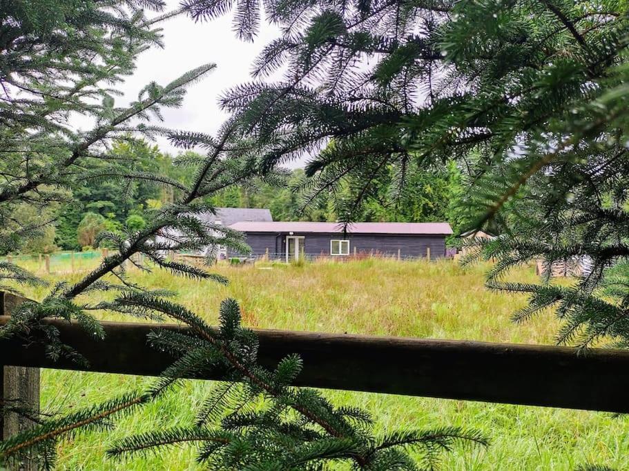 Drummacahan Lodge Ederny Bagian luar foto
